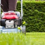 5 Best Lawn Care Services in Chesapeake - Discover mowing, feeding, and care for greener grass