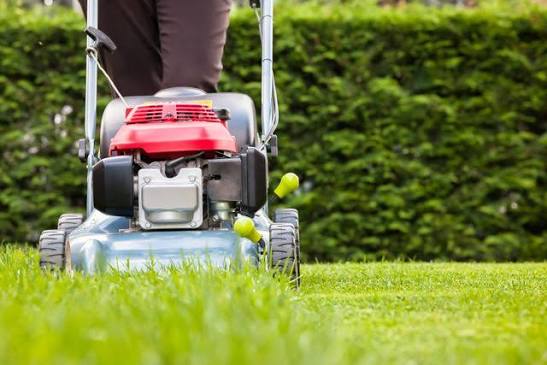 5 Best Lawn Care Services in Chesapeake - Discover mowing, feeding, and care for greener grass